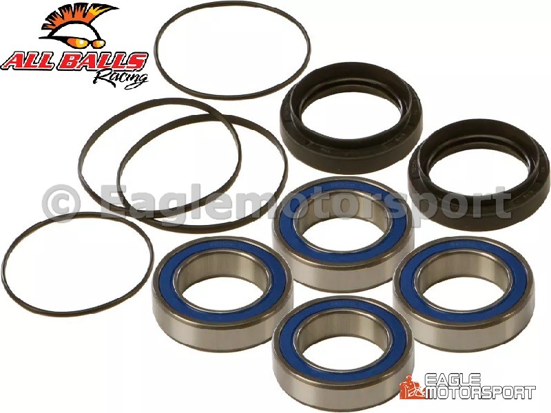 Achteras lager set Raptor 450